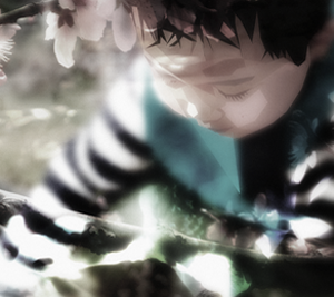 【免安装绿色版】无病毒的如何攻击网站